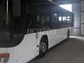 Autobus nc