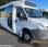 Autobus Iveco Daily