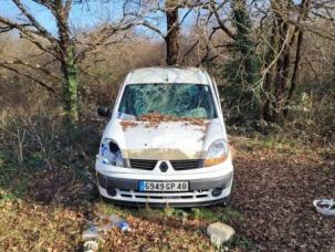 Fourgon avec parois et toit rigide Renault Kangoo