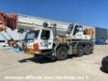 Grue mobile Grove GMK 3055