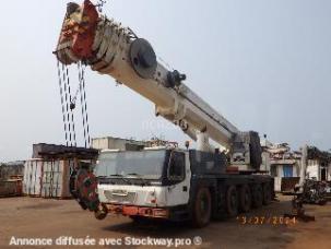 Grue mobile Grove GMK 5100