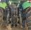 Tracteur agricole Deutz M600